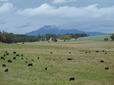 Property Boundary Farm, Pipers Brook Road, Pipers Brook TAS 7254 IMAGE 0