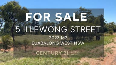 Property 5 Illewong Street, Euabalong West NSW 2877 IMAGE 0