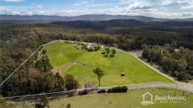 Property 21 Lovetts Flat Road, Sassafras TAS 7307 IMAGE 0